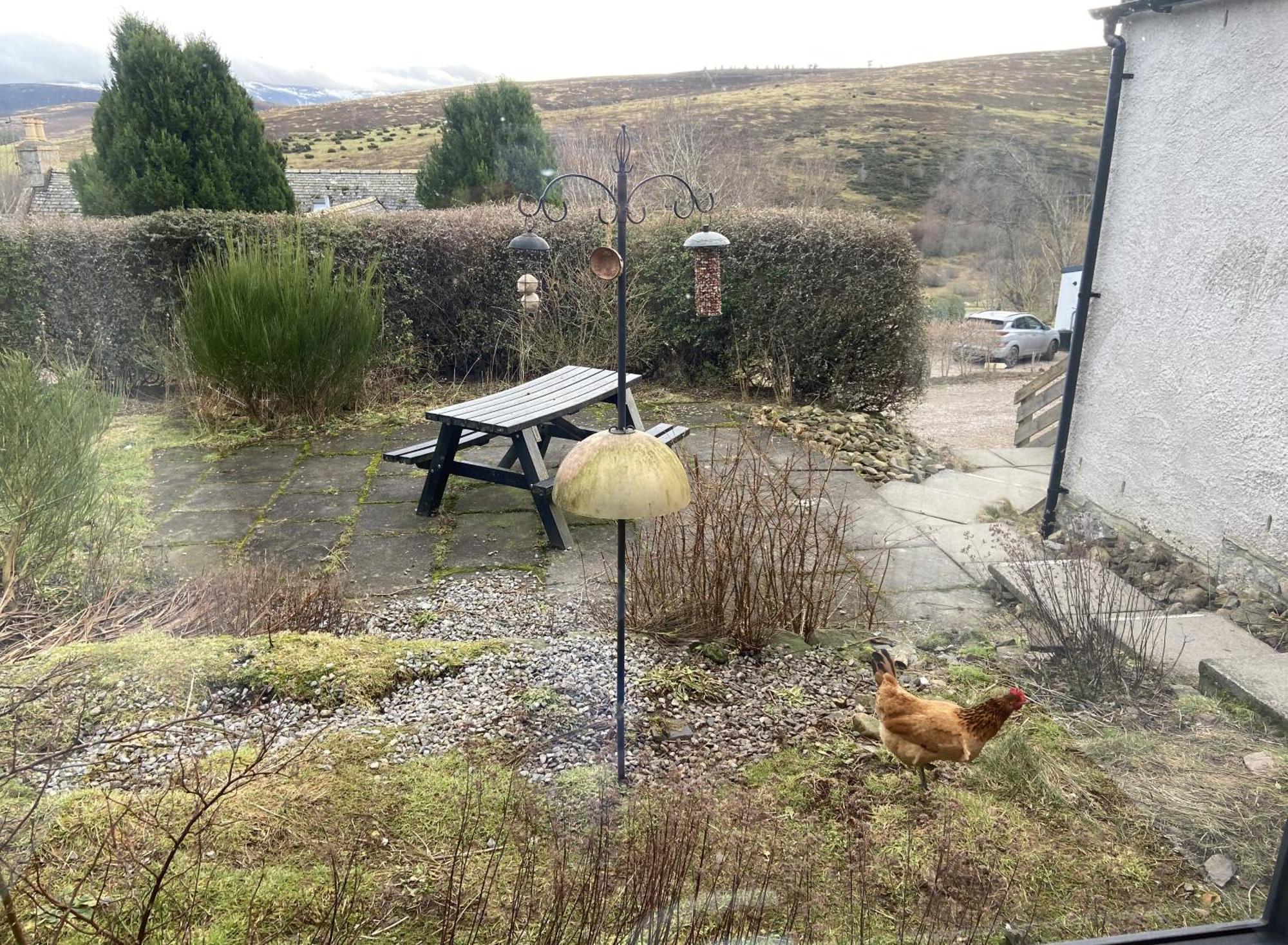 Easter Corrie Cottages Ballindalloch Kültér fotó